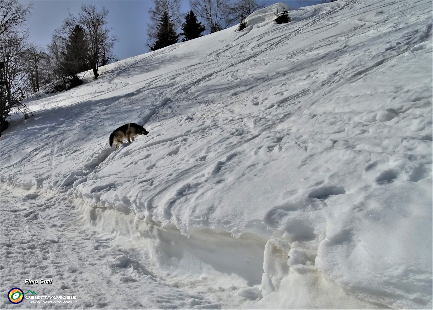 23 Evvia su una seconda bella ripida scorciatoia in direttissima !.JPG